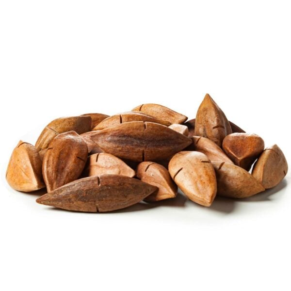 Dehydrated Pili Nuts over a white background