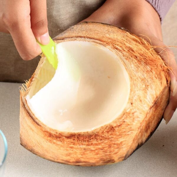 Coconut Smoothie inside a coconut