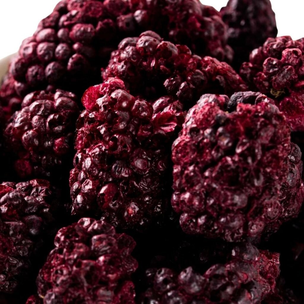 Bulk FreezeDried Whole Blackberries Wholesale Importers