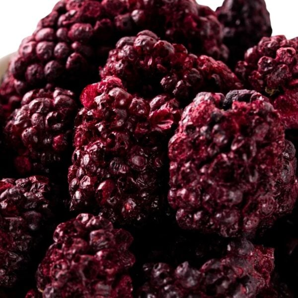 Freeze-dried whole blackberries are perfect for adding a burst of flavor to cereals, yogurt, smoothies, or as a topping for desserts