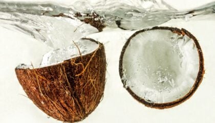Coconuts under water