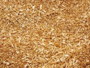 Toasted coconut shavings
