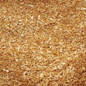 Toasted coconut shavings