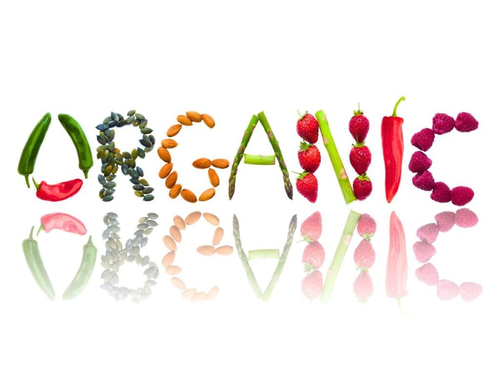 Organic word written with fruits and vegetables