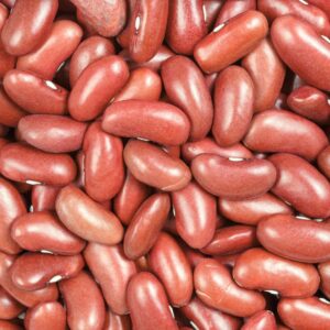 a close up view of a bunch of red beans