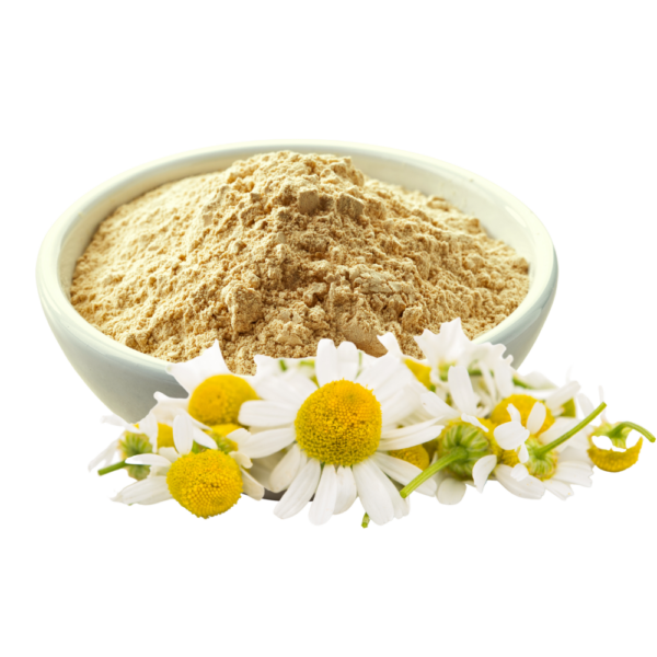 Brown chamomile powder in a white bowl displayed with a flowers.