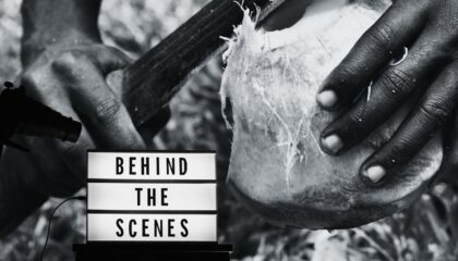 a black and white photo of a person holding a knife and a "behind the scenes" sign