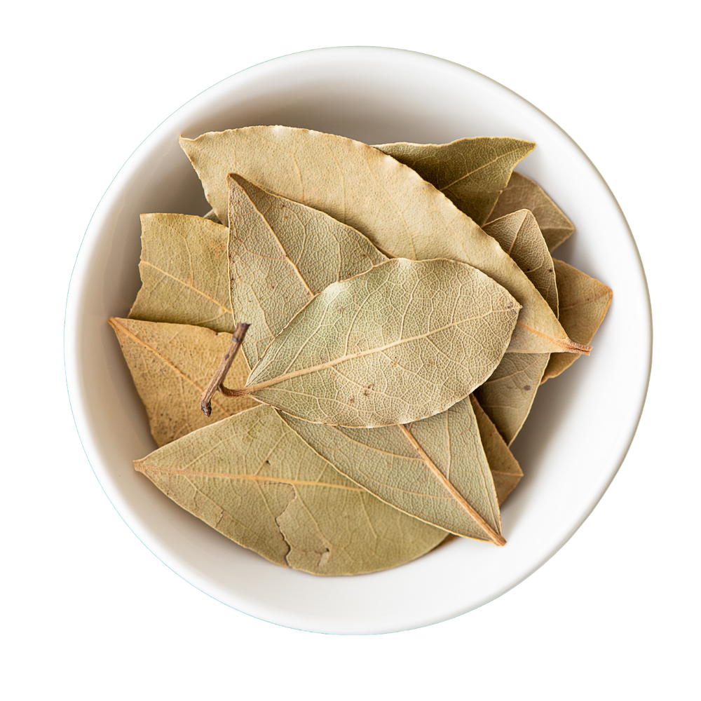 Bulk Bay Leaf Whole Wholesale Importers