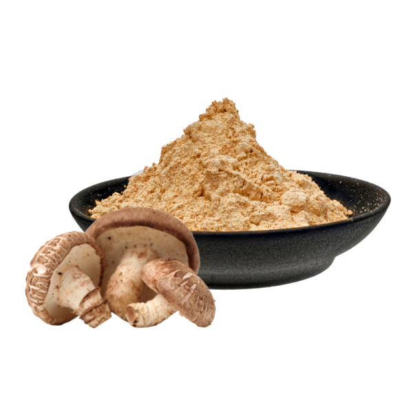 Bowl of heaped brown powder beside two mushrooms.