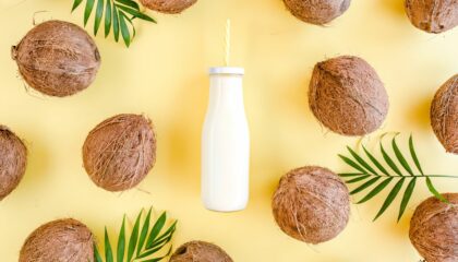coconut milk in a bottle surrounded by coconuts on a yellow background