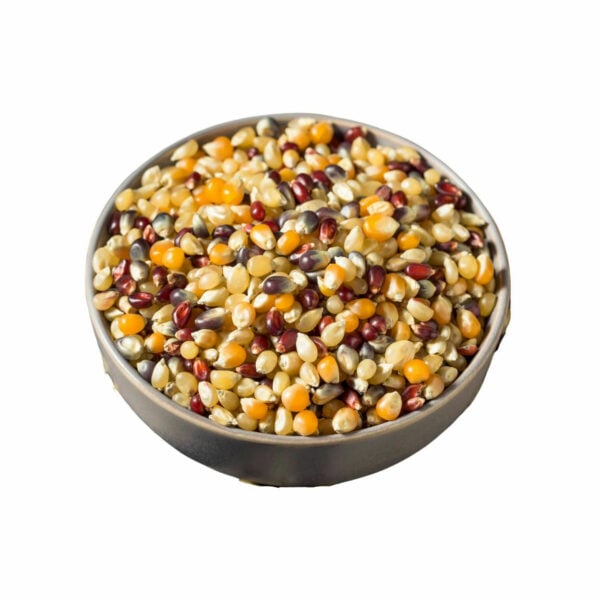 Multicolored grains in a bowl.