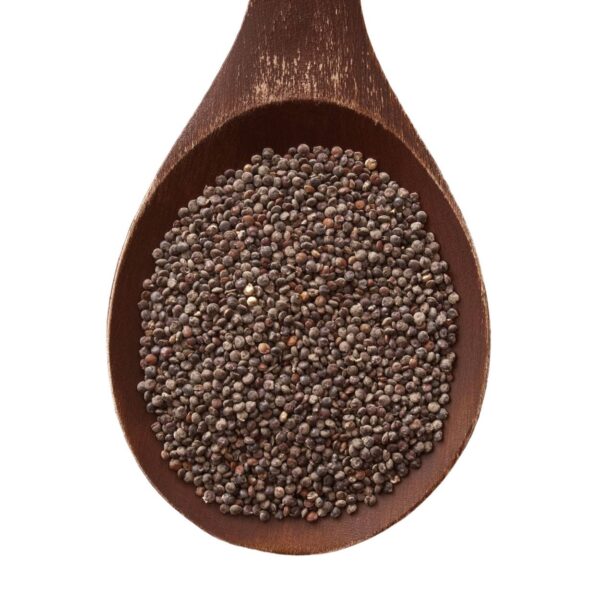 Black quinoa on a spoon