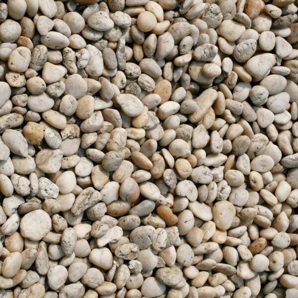 Grains of white Chia Seeds