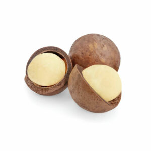 Macadamia nuts cracked open