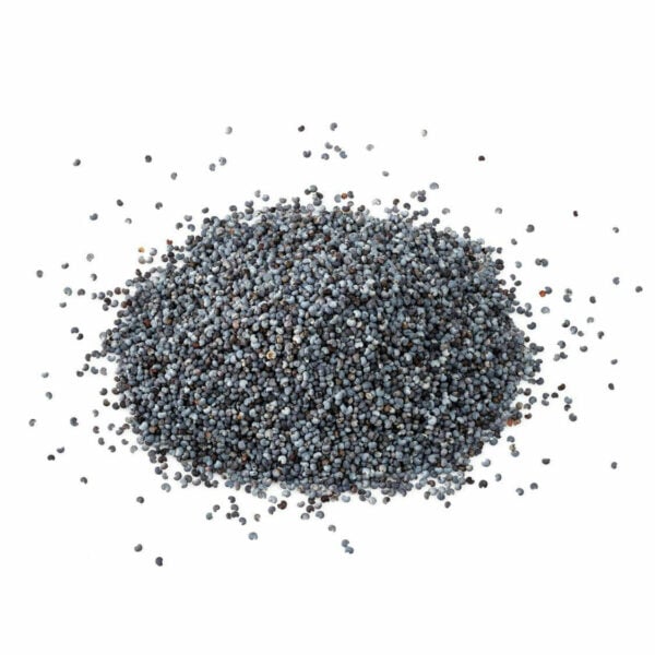 Navy blue poppy seeds in a heap